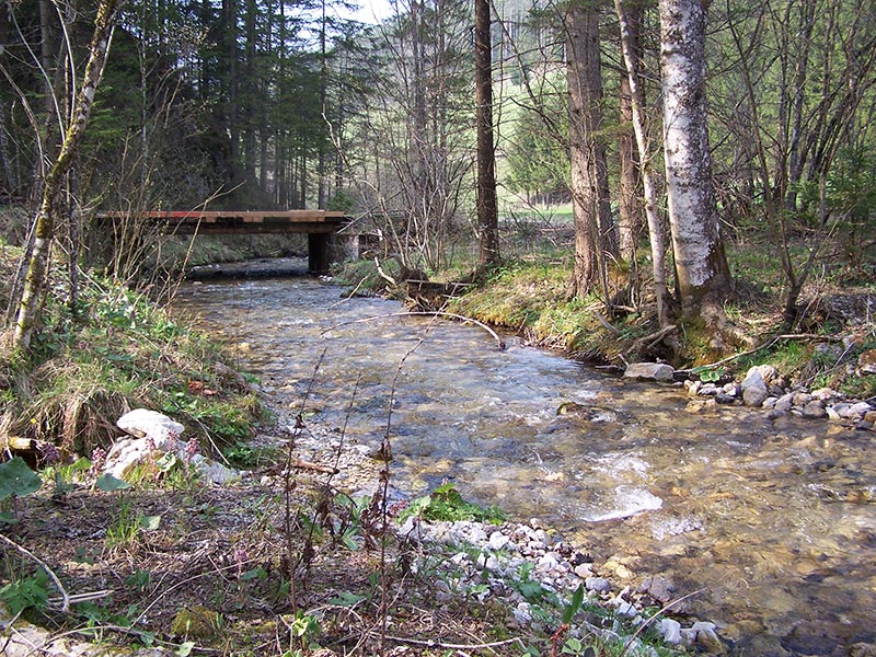 Traisen